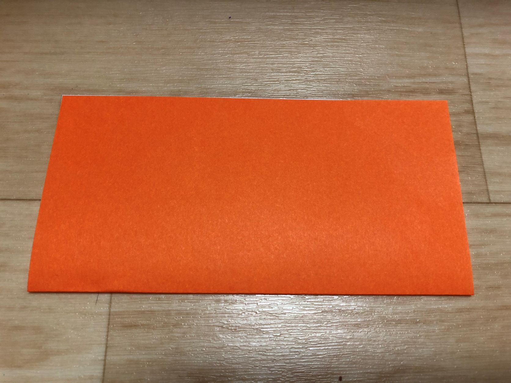 折り紙を半分に折る