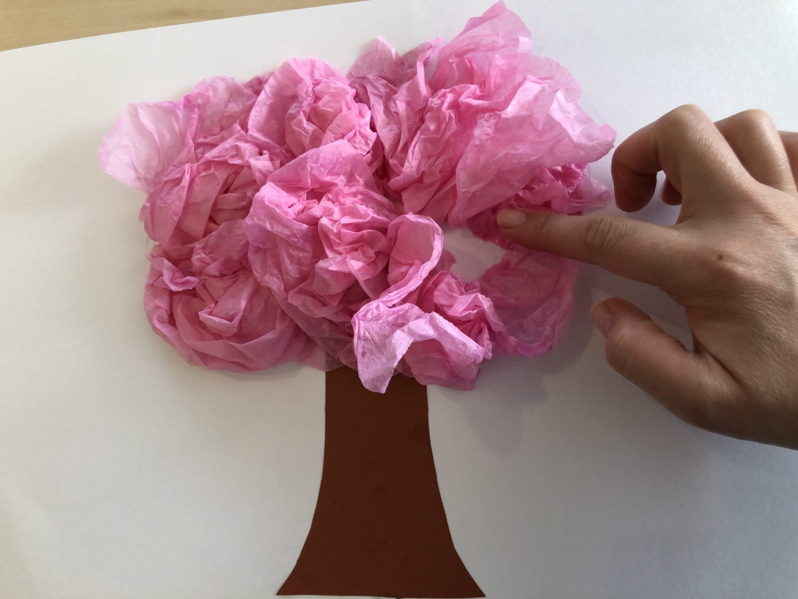 お花紙で桜の木を立体製作