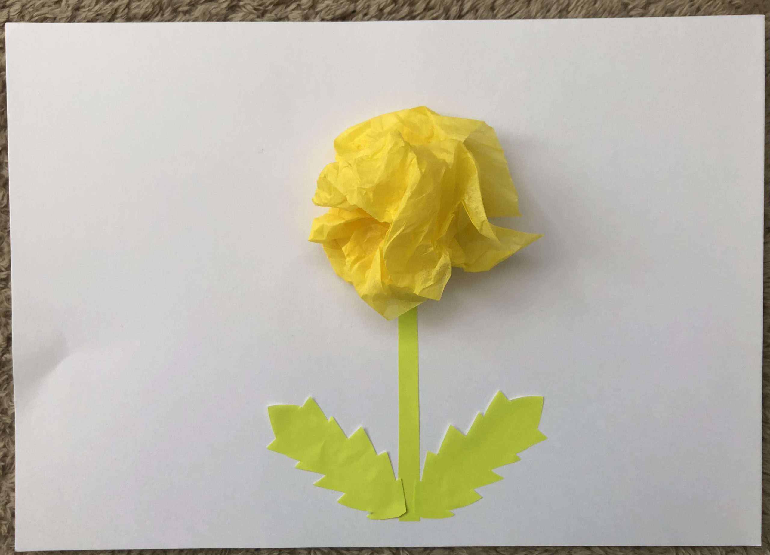 お花紙で桜の木を立体製作