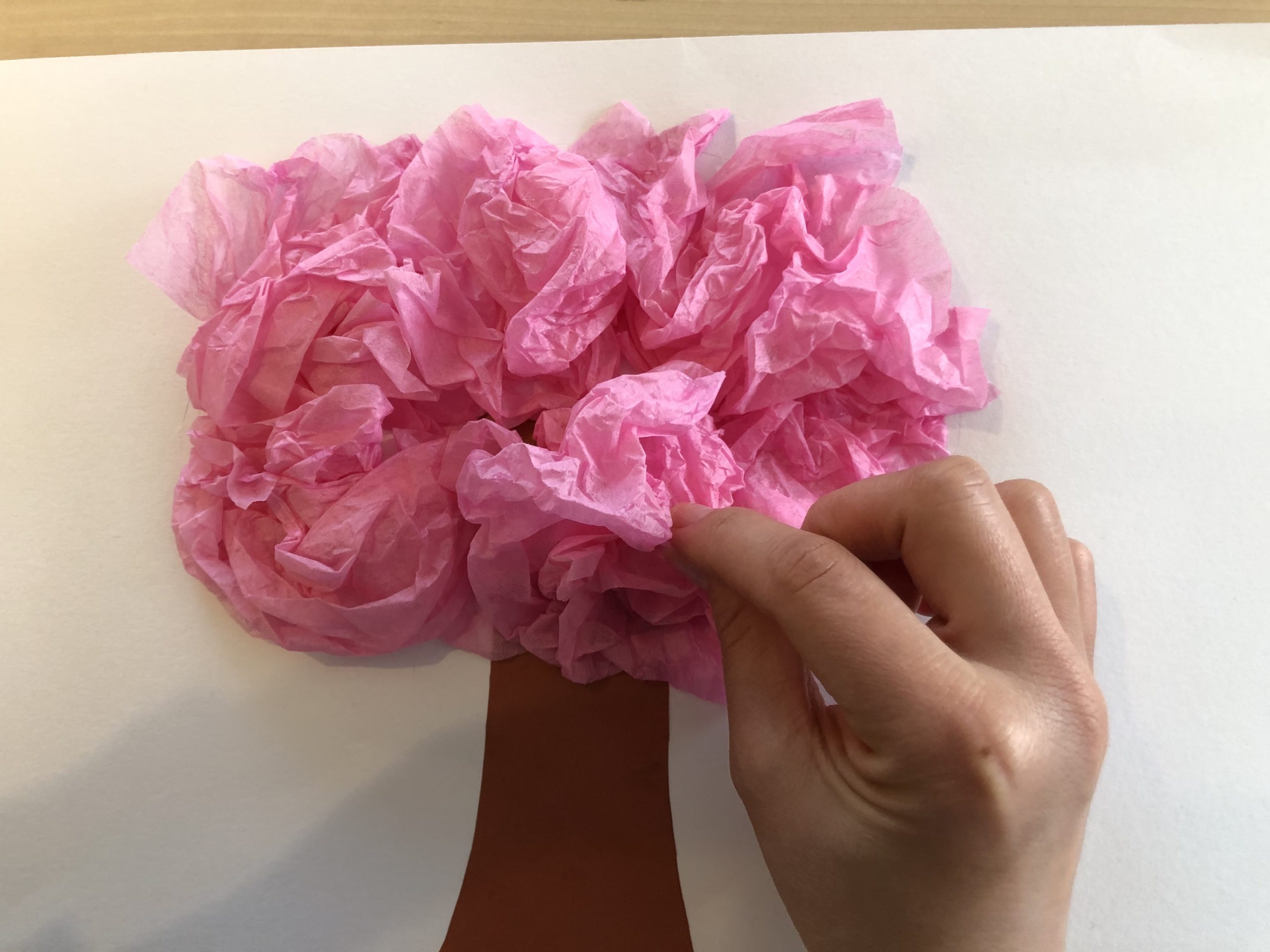 お花紙で桜の木を立体製作