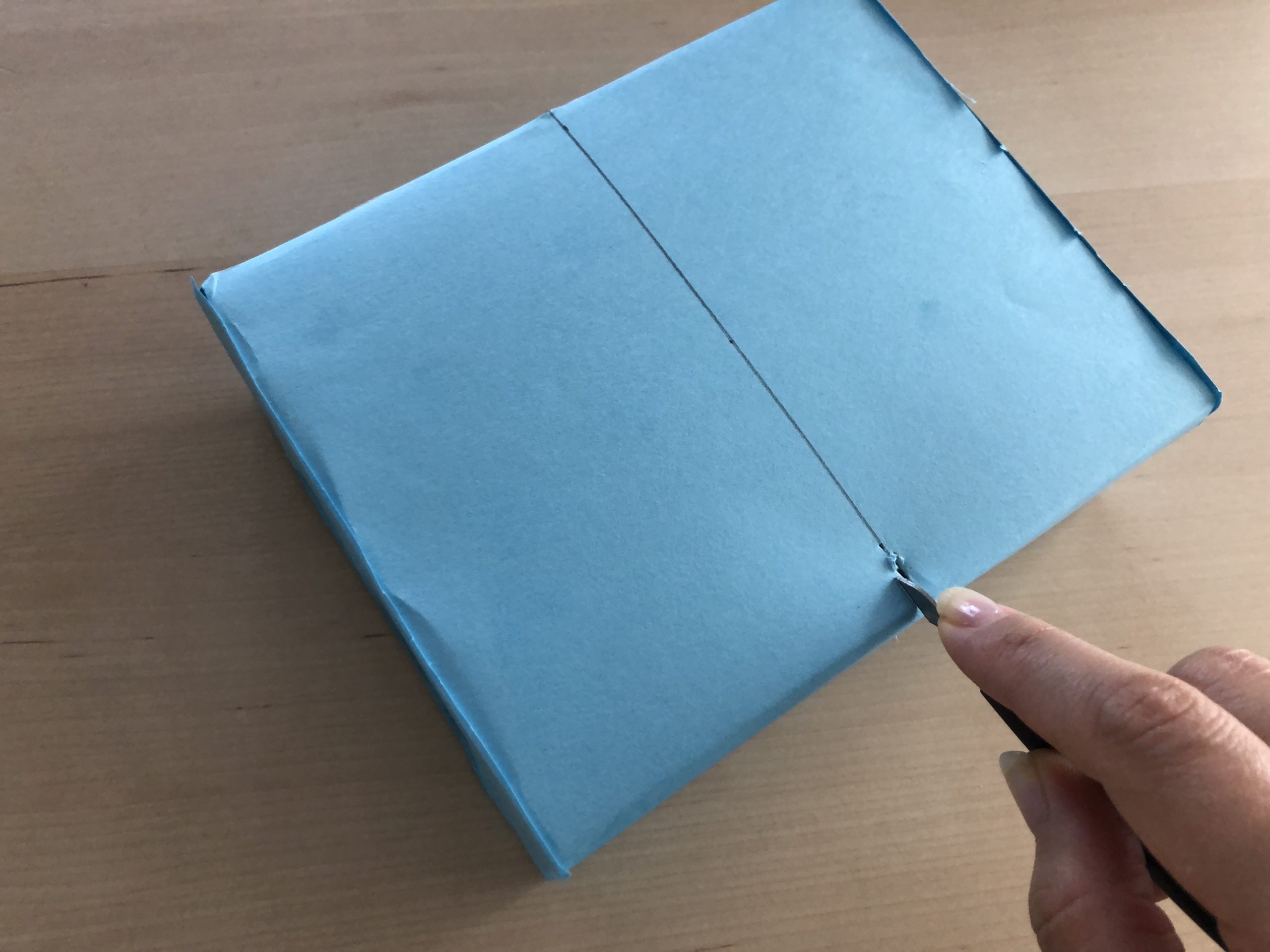 歯磨きかばくん