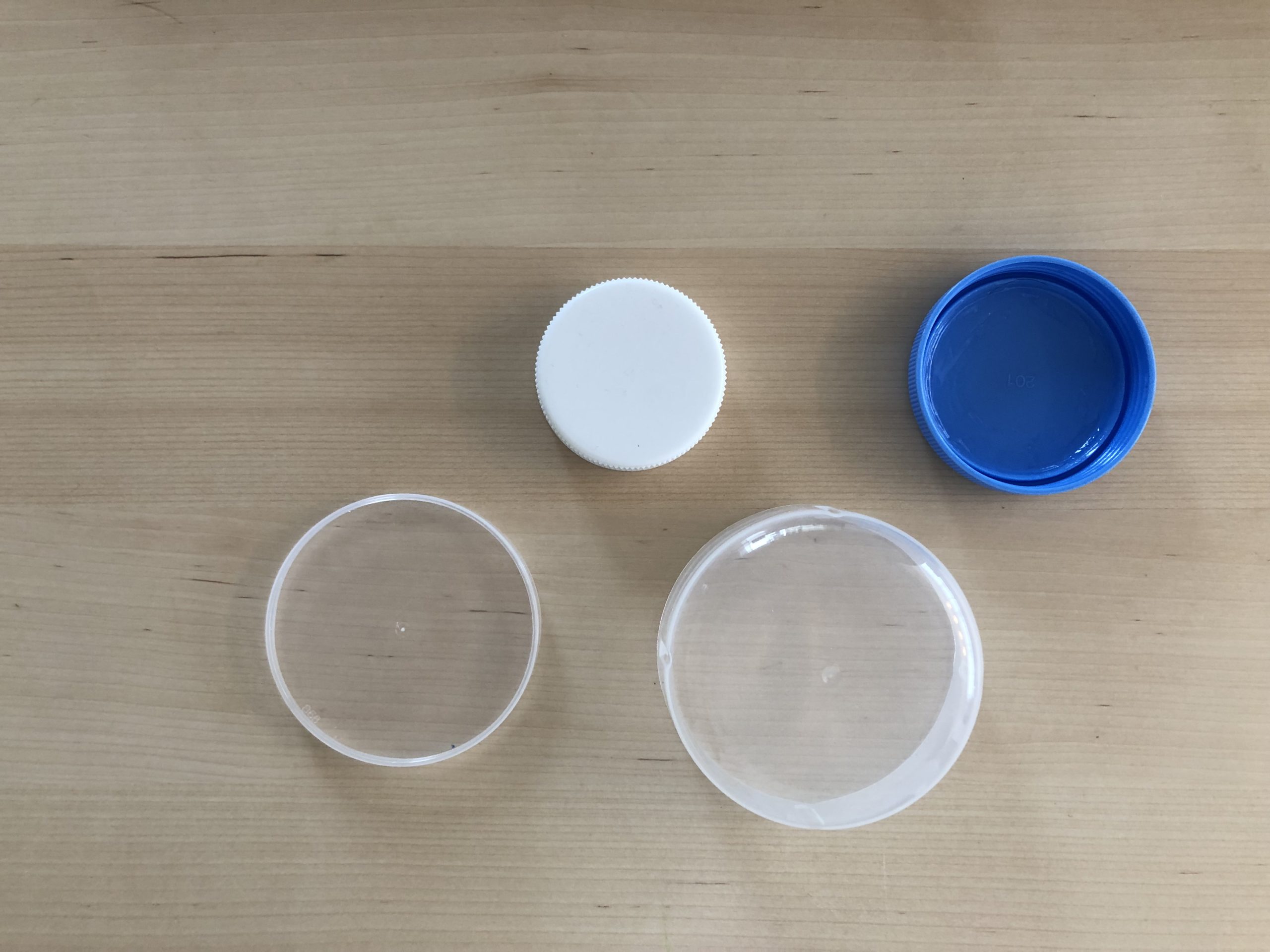 キャップの魚工作